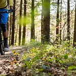 Waldklang Refugium Schwarzwald - Eingezaeunt - Aussen-sauna - Tischkicker - Billard 別荘
