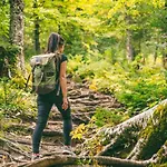 別荘 Waldklang Refugium Schwarzwald - Eingezaeunt - Aussen-sauna - Tischkicker - Billard