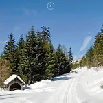 Waldklang Refugium Schwarzwald - Eingezaeunt - Aussen-sauna - Tischkicker - Billard * アルピルスバッハ