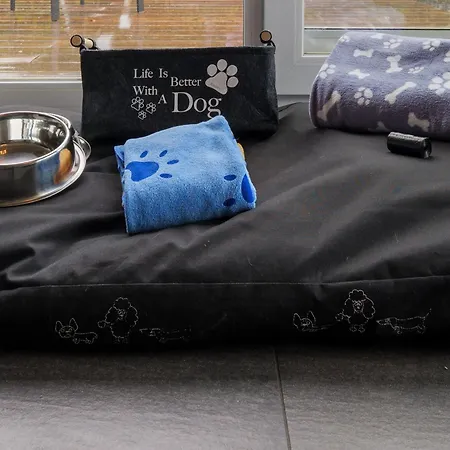 Ferienhaus Waldklang Refugium Schwarzwald - Eingezäunt - Sauna Geplant - Tischkicker - Billard