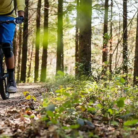 Waldklang Refugium Schwarzwald - Eingezäunt - Sauna Geplant - Tischkicker - Billard Ferienhaus
