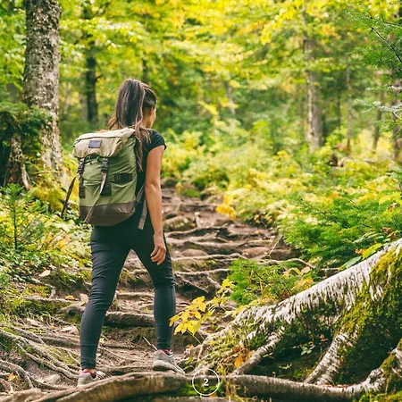 Hébergement de vacances Waldklang Refugium Schwarzwald - Eingezaeunt - Aussen-sauna - Tischkicker - Billard