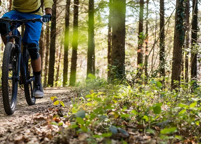 Waldklang Refugium Schwarzwald - Eingezaeunt - Aussen-sauna - Tischkicker - Billard Nyaraló