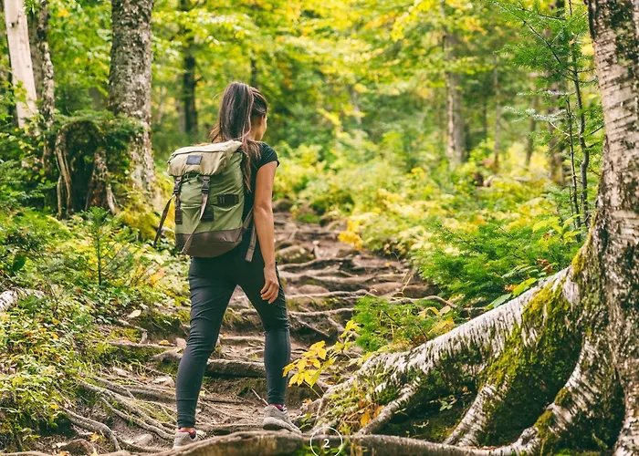 Nyaraló Waldklang Refugium Schwarzwald - Eingezaeunt - Aussen-sauna - Tischkicker - Billard